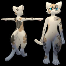 MAYU (CALICO)