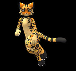 MAYU (JUNGLE CAT)