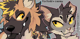PIXEL